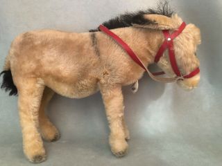‘59 - ‘61 Steiff Mohair Donkey RSB 9”x13”ready to retire.  Your pasture is calling. 3