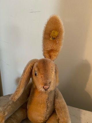 Vintage STEIFF GERMAN LULAC RABBIT BUNNY YELLOW FLAG with BUTTON 13” 2
