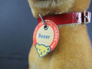 VINTAGE STEIFF BOXER DOG w/BUTTON & PAPER TAG & COLLAR Approx.  10 