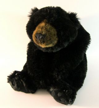 Ditz Black Bear Beanie Stuffed Toy Hug Rug Bearskin 26 " Plush Snuggly Therapy