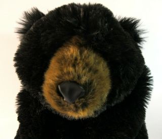 DITZ BLACK BEAR beanie stuffed toy HUG RUG bearskin 26 