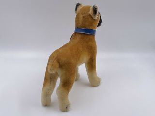 Vintage Steiff German Mohair Sarras Boxer Dog Canine K9 Toy Doll Tags 3