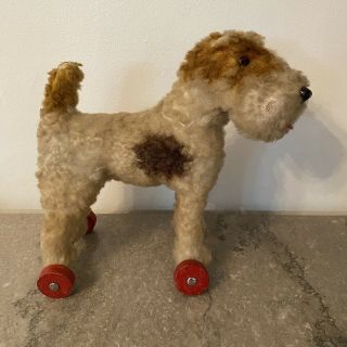 Vintage Steiff Mohair Foxhound Dog On Wheels (ears Missing / Squeaker)