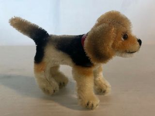 Vintage Steiff Miniature Standing Biggie Beagle Dog - 3 3/4 " Ht X 5 3/4 " Width
