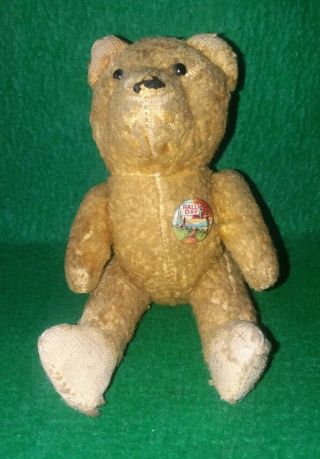 Vintage Early 1900s Miniature Stuffed Teddy Bear With Rally Day Pin Button