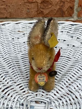 Vintage Steiff German Rabbit Bunny Sitting All Id 3” 3308,  00