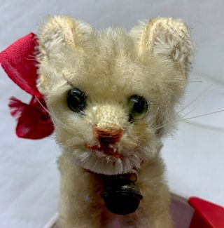 Vintage Steiff Mohair Tabby Cat With Bell And Ear Button