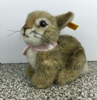 Steiff Dormili Bunny Rabbit Sitting 6 " Plush 2974/16