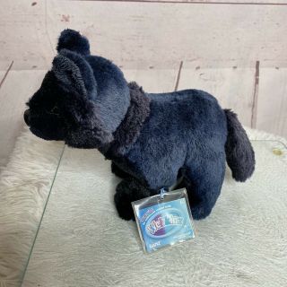 Ganz Webkinz 2012 Black Wolf Plush Stuffed Animal No Code Pre - Owned Read