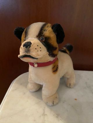 Steiff Vintage German Dog Bully Bulldog 6” No Id