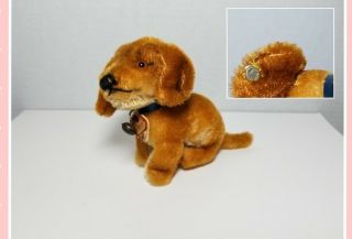 Steiff Mohair Bazi Dachshund Dog With Button In Ear & Chest Tag Brown 6” Sitting