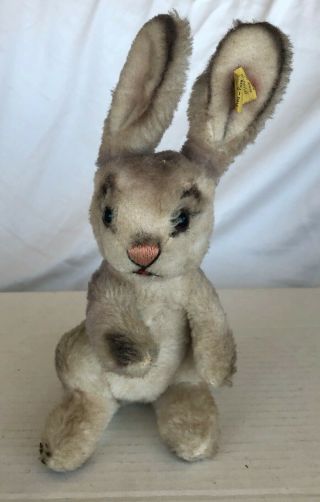 Charming Vintage Steiff Plush Covered Seated Rabbit W/ Button & Tag