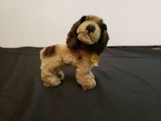Vintage Steiff English Cocker Spaniel Dog Tag Present,  Jointed Head