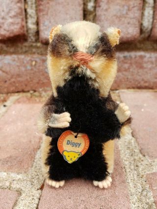 Antique Vtg Steiff Diggy Badger Body Tag No Ear Tag Germany Stuffed Animal