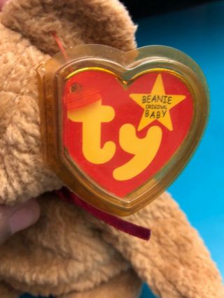 TY Beanie Baby - CURLY the BEAR (9 Inch) - MWMTs Stuffed Animal Toy 3