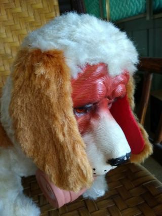 Vintage Rubber Face Large ST BERNARD Plush Dog W/Barrel.  Rushton Bijou My Pal ? 3