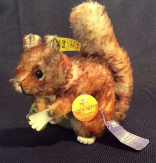 Vintage Steiff Perri Squirrel With All Tags And Acorn 6 1/2 Inches Tag 2040/17
