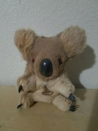 Vintage Koala Music Box Wind - Up Real Kangaroo Fur Stuffed Animal Kids Toy