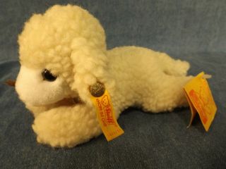 Steiff Mini Floppy Lamb - All Tags & Button - - 5668/16 7 " Long