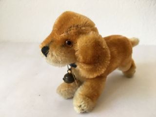 Vintage Miniatur Steiff Bazi Dachshund Dog Toy,  14 Cm 5.  5 ",  Golden Mohair,  1960s