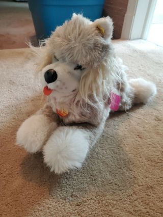 Steiff Husky Dog Molly.  Tag 0340/35.  Made In Germany