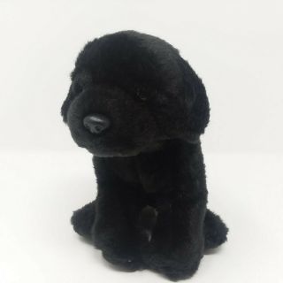 Webkinz Signature Black Dog Plush Stuffed Animal No Code Ganz Gold W Labrador