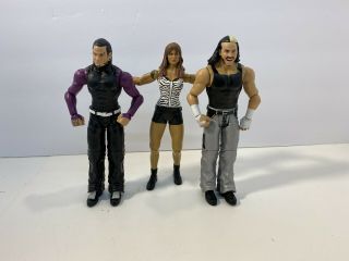 The Hardy Boyz & Lita Wwe Action Figures - (mattel & Jakks)