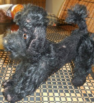13 " Vtg German Steiff Snobby Poodle Dog Stuffed Mohair Black W Collar