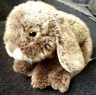 Toys R Us Bunny Rabbit Plush Gray Brown Cream Soft Stuffed Animal 2015 Realistic