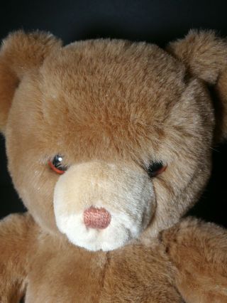 Vintage GUND 1983 Cute Grumpy Classic Teddy Bear Tan Brown Plush Stuffed Animal 2