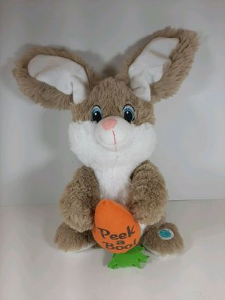 Dan Dee Collectors Choice Peek A Boo Bunny Animated Sings Easter