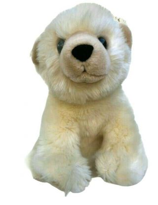 Seaworld Gold Coast Australia Seated Polar Bear Plush Stuffed Soft Toy 2007