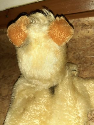Steiff Foxy Fox Terrier Dog Hand Puppet Vintage Mohair 3