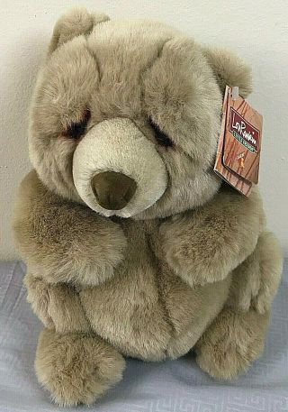 Lou Rankin Little Friends Jasper Brown Bear 9 " Stuffed Animal Plush W/tags Dakin