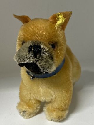 Vintage Steiff Boxer Dog W/ Collar
