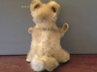 Vintage Steiff German Mohair Raccy Raccoon Toy Doll Tags 2