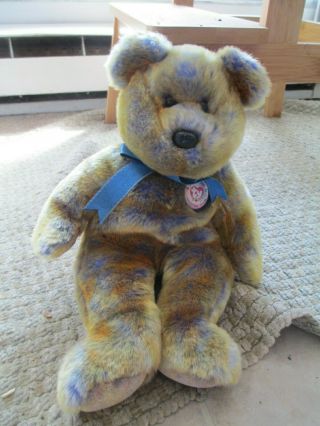 Beanie Babies Ty Official Club 2000 Bear Brown Blue 15 Inches Height