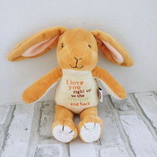 Bunny Rabbit Guess How Much I Love You To The Moon And Back Stuffed Plush Toy