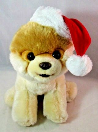 Gund Boo The Worlds Cutest Dog With Santa Hat Plush Stuffed Animal 10 " 4036470