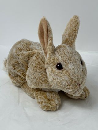 Tan Bunny Rabbit Realistic Cottontail Kids Of America Plush Soft Stuffed Toy 10 "