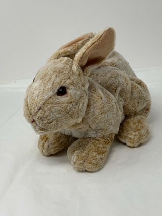 Tan Bunny Rabbit Realistic Cottontail Kids Of America Plush Soft Stuffed Toy 10 