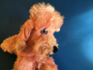 Vintage Stuffed Animal Pink Poodle Dog Carousel Toy Toronto Canada Blue Eyes