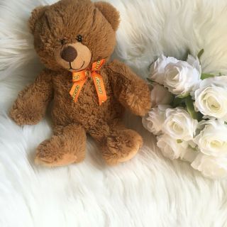 Reeses Soft Plush Teddy Bear 12” Reese 