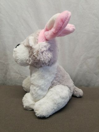 10” Dan Dee Dog With Easter Bunny Ears Plush Stuffed Animal 2