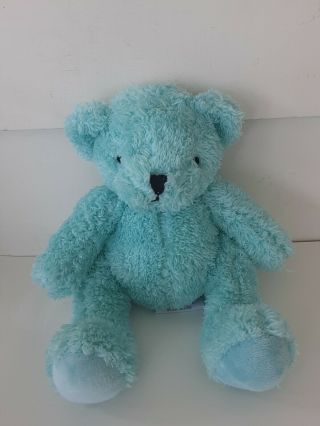 Silver One Plush Aqua Teal Green Teddy Bear Stuffed Animal 11” Toy Baby
