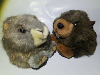 Puffkins By Swibco Nutty The Squirrel & Chomper The Beaver No Tags Excell.  Cond.