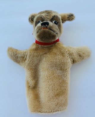 Steiff Mopsy Pug Dog Hand Puppet 1968 - 78 German Mohair Toy No Button In Ear