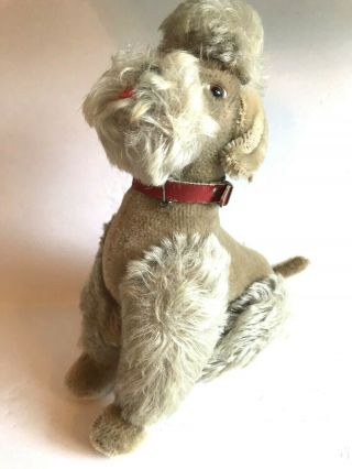 Vintage Unmarked German Steiff Snobby Dog Poodle Mohair Fully Jointed Red Collar 2