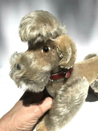 Vintage Unmarked German Steiff Snobby Dog Poodle Mohair Fully Jointed Red Collar 3