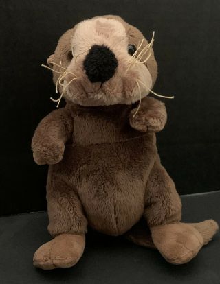 Ganz Webkinz Sea Otter Plush Stuffed Animal Toy Brown Tan 8 " Bean Bag No Code